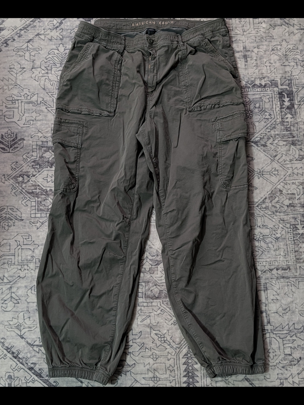 American Eagle Outfitters Olive Gray Cargo Pants